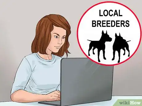 Image titled Buy a Doberman Pinscher Puppy Step 2