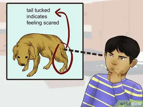 Image titled Write an Animal Report Step 6