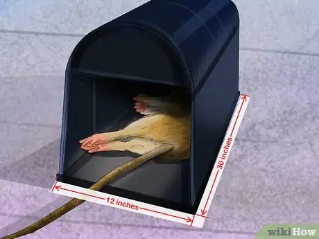 Image titled Deal with Rats Step 4