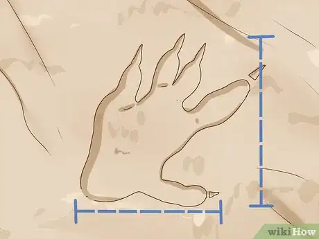 Image titled Identify Animal Tracks Step 15