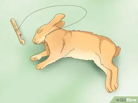 Image titled Trap a Rabbit Step 13
