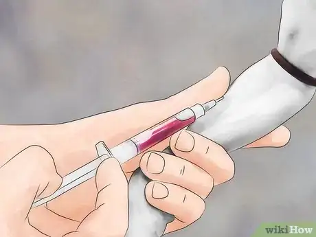 Image titled Identify Canine Tick Problems Step 8