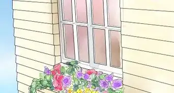 Build a Window Box