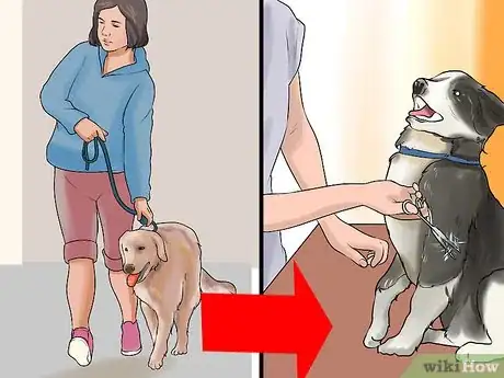 Image titled Groom a Hyper Dog Step 2