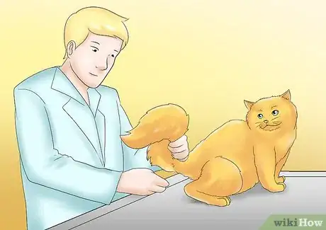 Image titled Care for a Cat with Kidney Failure Step 12