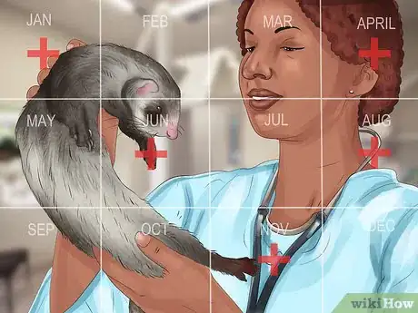 Image titled Diagnose Heart Disease in Ferrets Step 17