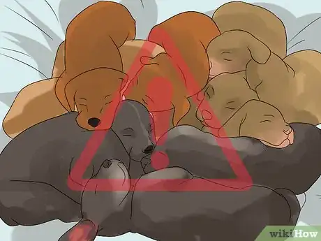 Image titled Diagnose Canine Infectious Hepatitis Step 6