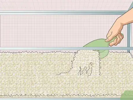 Image titled Prepare for Your New Guinea Pig Step 6