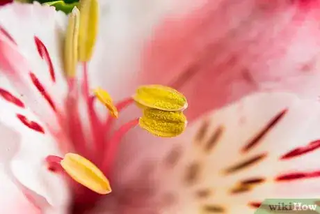 Image titled Choose a Photography Class or Workshop Step 1Bullet2