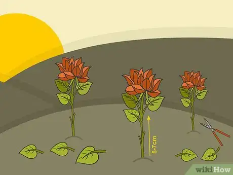 Image titled Prune Dahlias Step 12