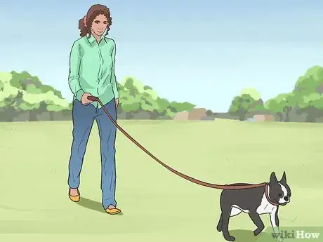 Image titled Prepare Your Dog to Go Off‐Leash Step 11