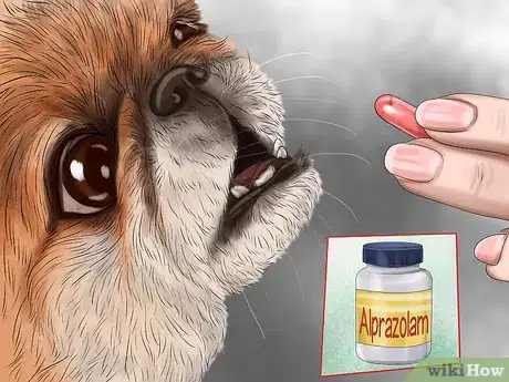 Image titled Use Dog Pheromone Products Step 9