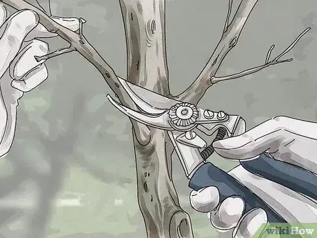 Image titled Prepare Your Home for Autumn Step 11