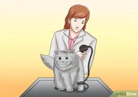 Image titled Care for a Cat with Kidney Failure Step 11