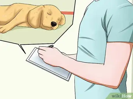 Image titled Diagnose Epilepsy in Beagles Step 4