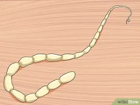 Image titled Diagnose Tapeworms in Cats Step 1