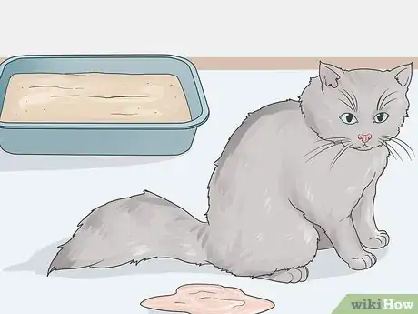 Image titled Help a Cat with Anxiety Step 16