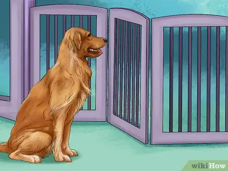 Image titled Deal with House Soiling in Older Dogs Step 1