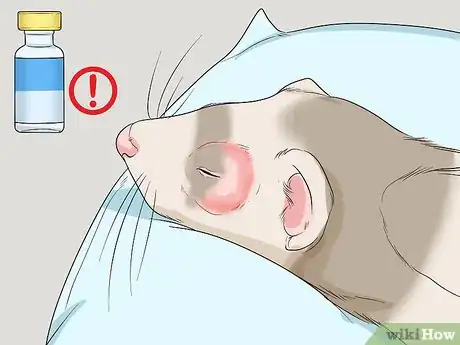 Image titled Get Your Ferret Vaccinated Step 15
