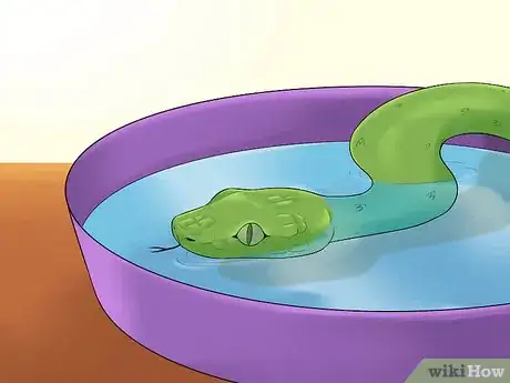 Image titled Care for a Shedding Snake Step 5