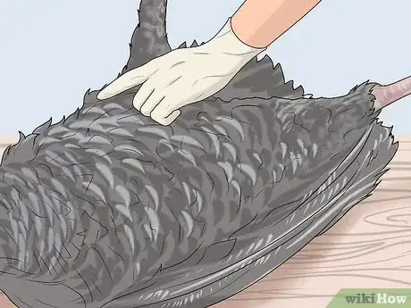 Image titled Dress a Turkey Step 2