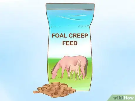 Image titled Wean a Foal Step 3