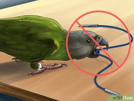 Image titled Protect Birds from Household Dangers Step 6