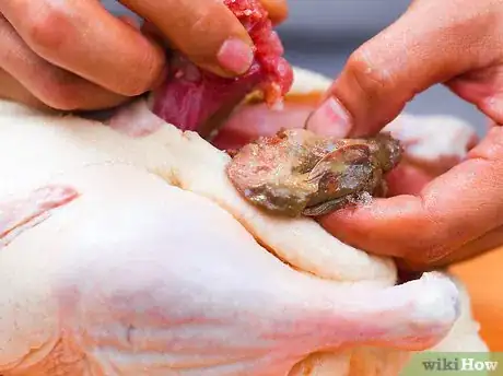 Image titled Quarter a Duck Step 1