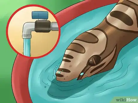 Image titled Care for a Shedding Snake Step 9