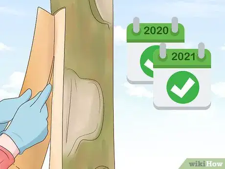 Image titled Grow Cinnamon Step 20