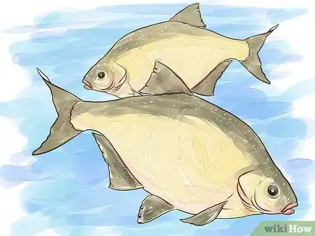 Image titled Fish For Bream Step 1