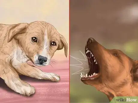 Image titled Use Dog Pheromone Products Step 1