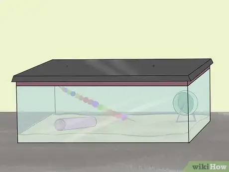 Image titled Care for a Shaw's Jird Step 4