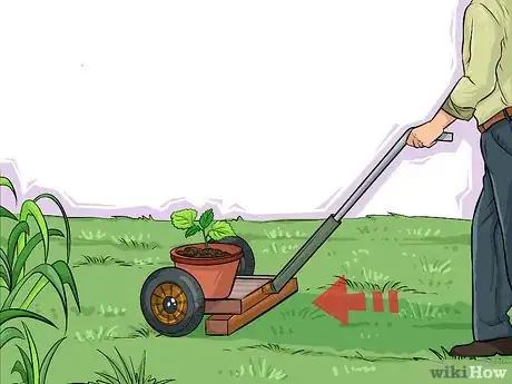 Image titled Choose Vegetables for a Shade Garden Step 9