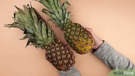 Image titled Tell if a Pineapple Is Ripe Step 5
