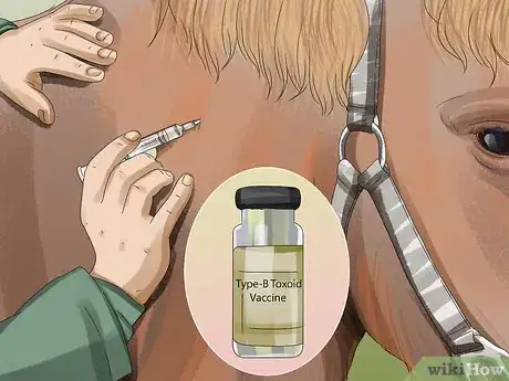 Image titled Prevent Botulism in Horses Step 1