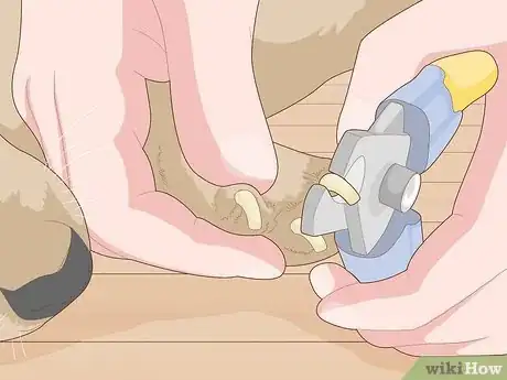 Image titled Protect Hardwood Floors Step 5