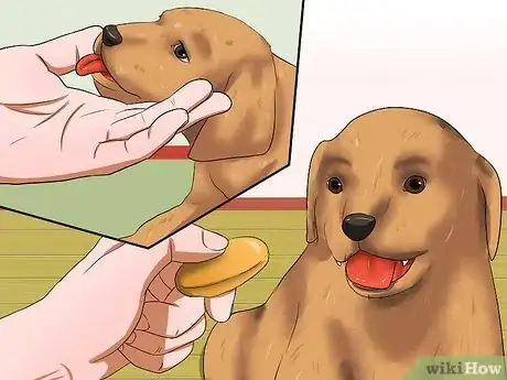 Image titled Get Your Puppy to Stop Biting Step 7