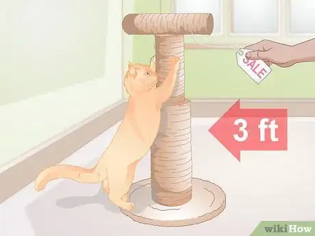 Image titled Find Alternatives to De Clawing Your Cat Step 1
