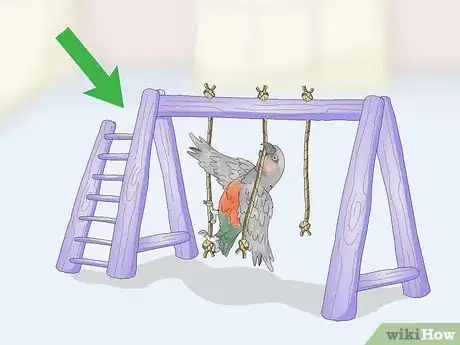 Image titled Keep a Red Bellied Parrot Entertained Step 7