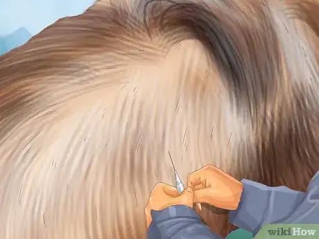 Image titled Vaccinate Newborn Foals Step 9