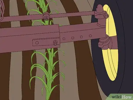 Image titled Plow With Two Row Cultivators Step 6
