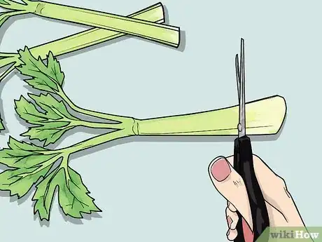 Image titled Change the Color of a Celery Stalk Step 3