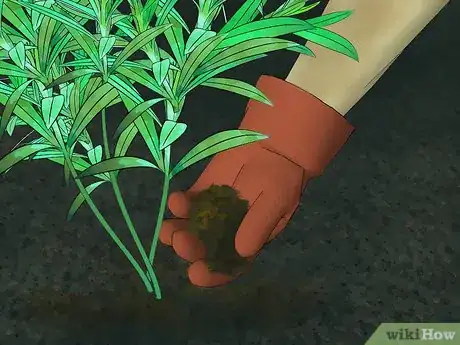 Image titled Grow Oleander Step 14