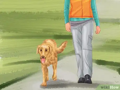 Image titled Choose a Good Hiking Dog Step 9