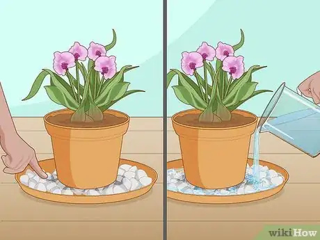 Image titled Create Humidity for Indoor Plants Step 9