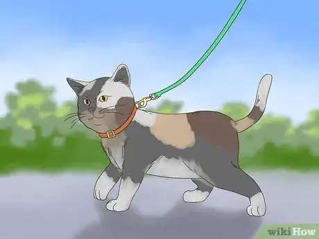 Image titled Deal with Your Cat Pacing at Night Step 4