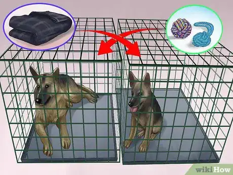 Image titled Introduce a New Dog in a Not Neutral Area Step 6