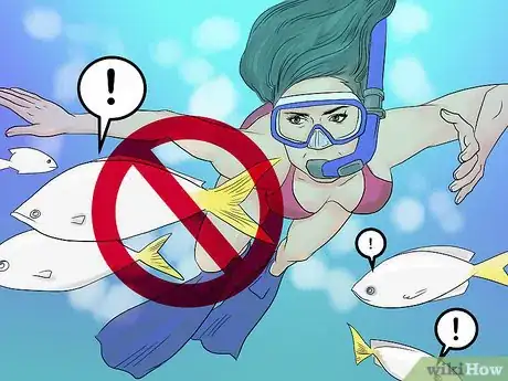 Image titled Protect Coral Reefs when Snorkeling Step 7