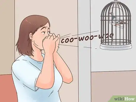 Image titled Encourage Doves to Coo Step 3